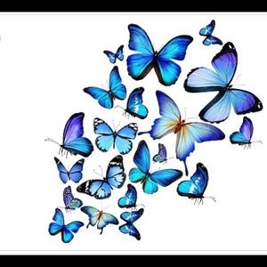 Meet your Posher, Natasha